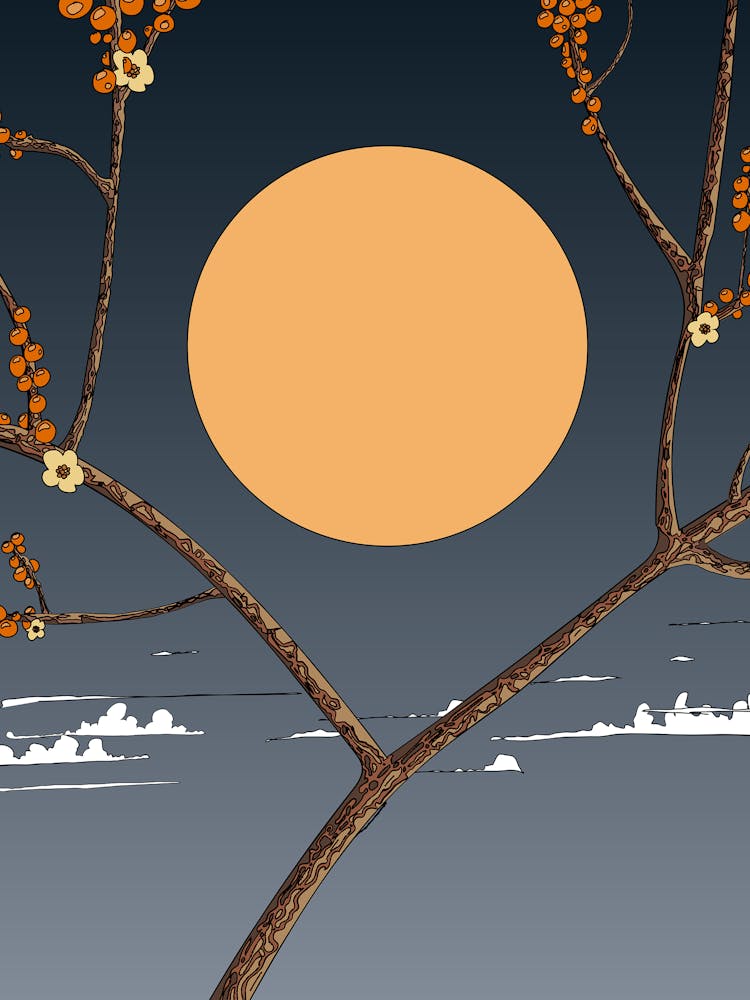 Moon And Branches