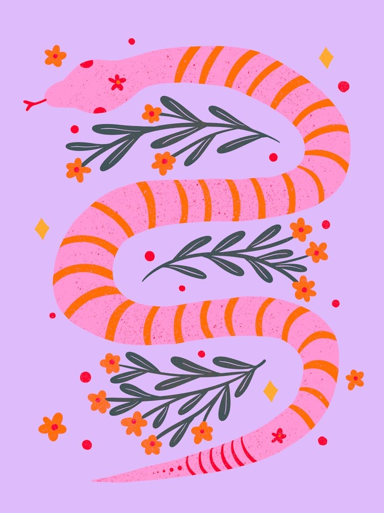 Modern Snake Pink And Orange