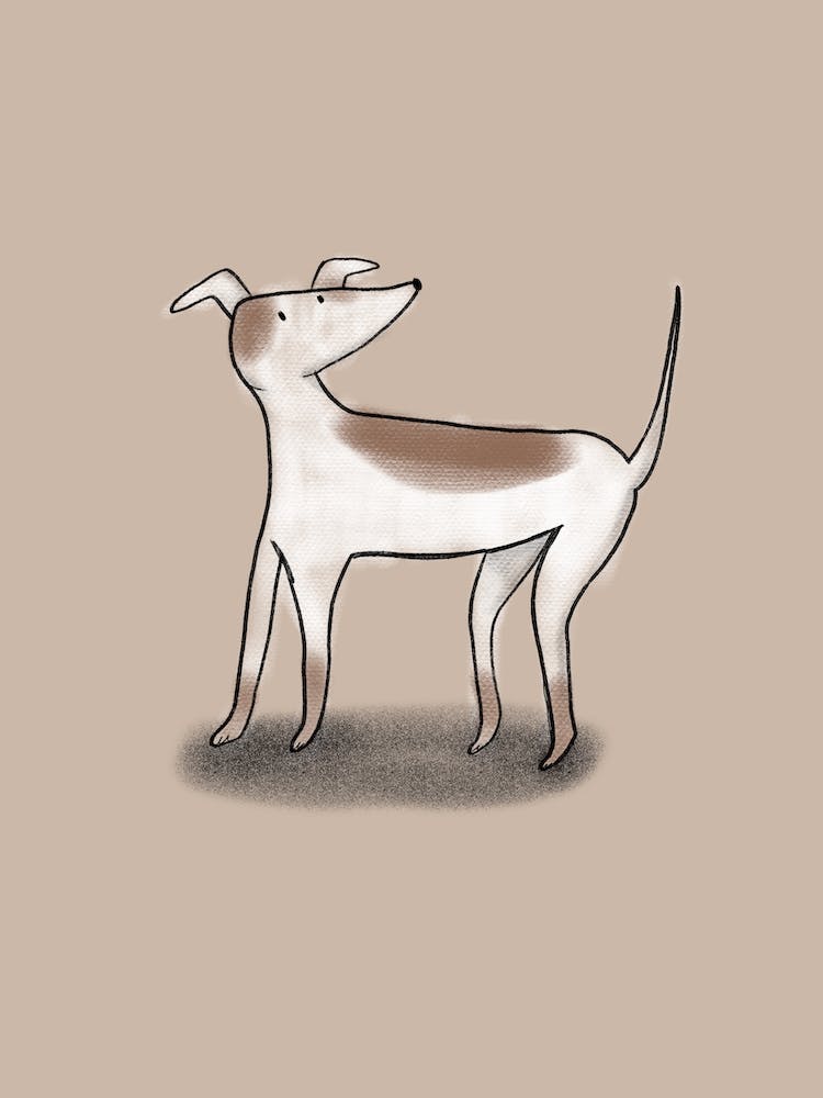 Greyhound