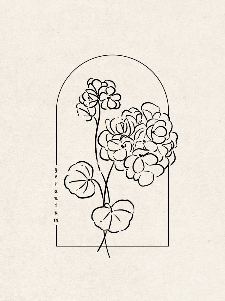 Geranium Flower