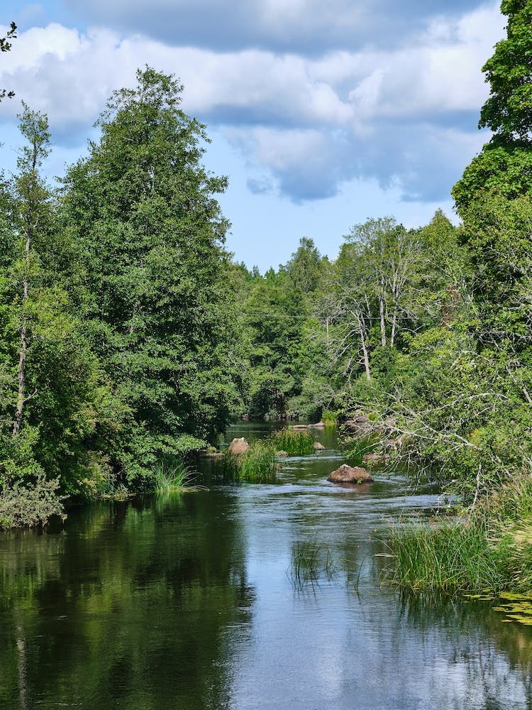 Zweden23 08 21709+Gpl20977