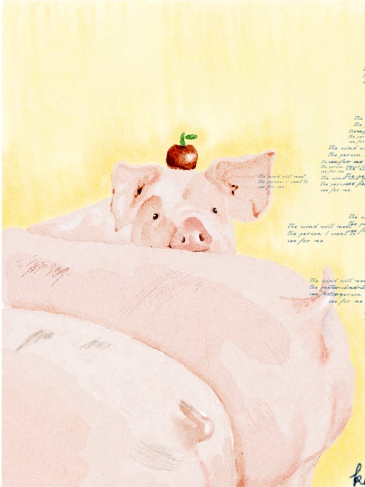 LOVELY PIG