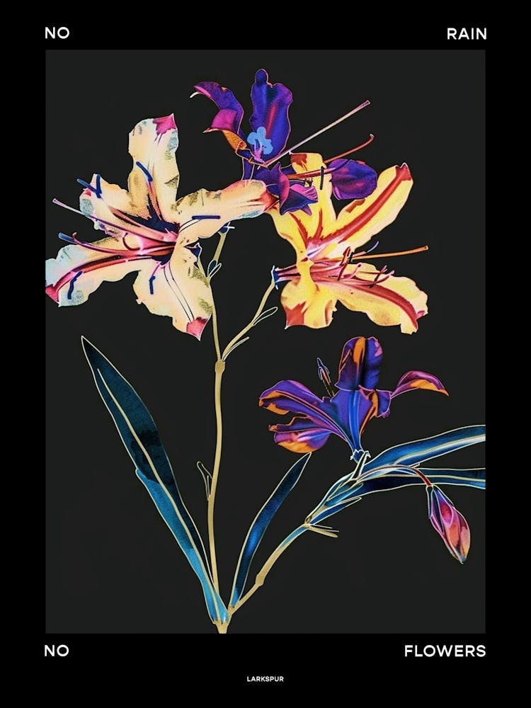 No Rain No Flowers Poster Larkspur 2