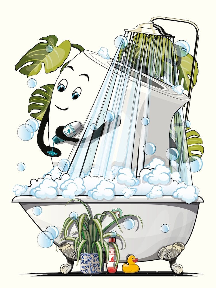 Toilet Paper In The Shower