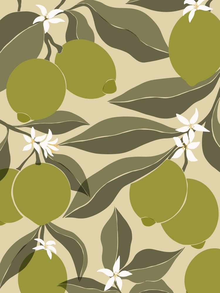 Limes
