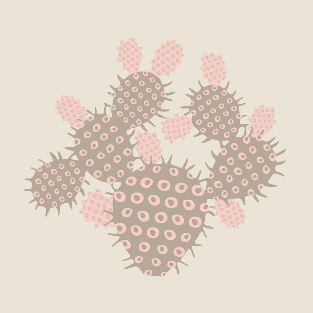 PRICKLY PEAR Desert Cactus in Soft Blush Pink Beige Cream