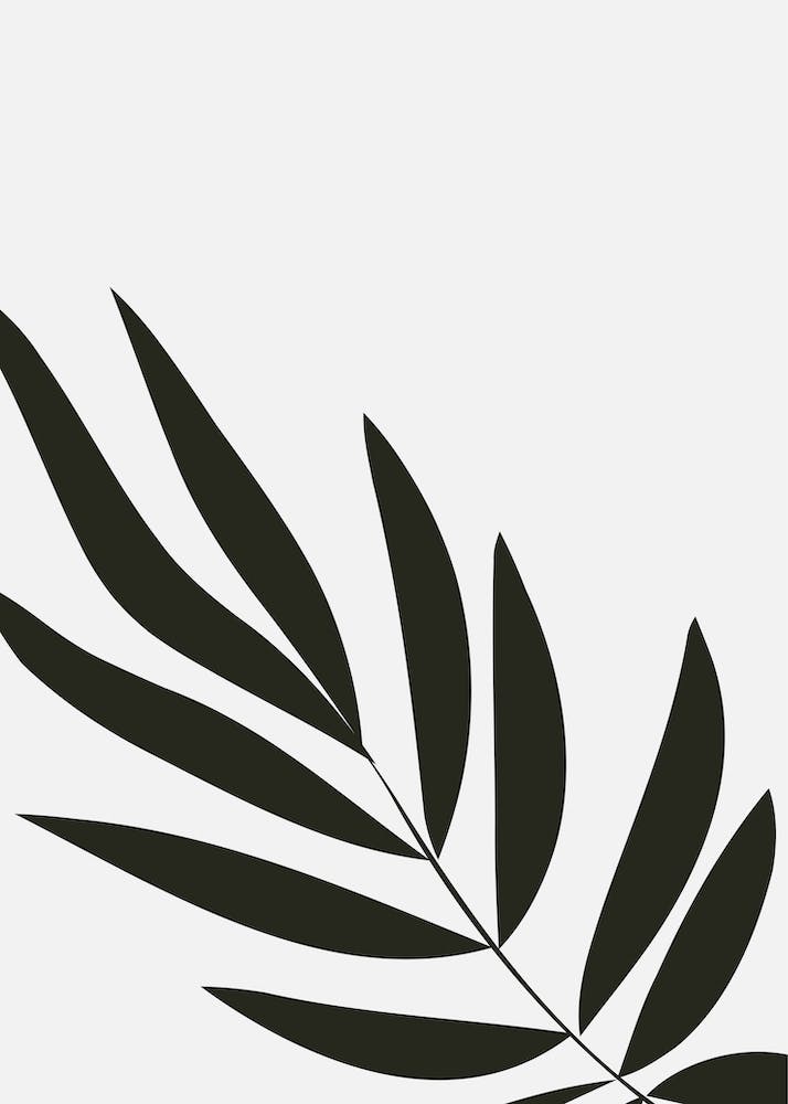 Art Botanique Abstrait Noir et Beige 4