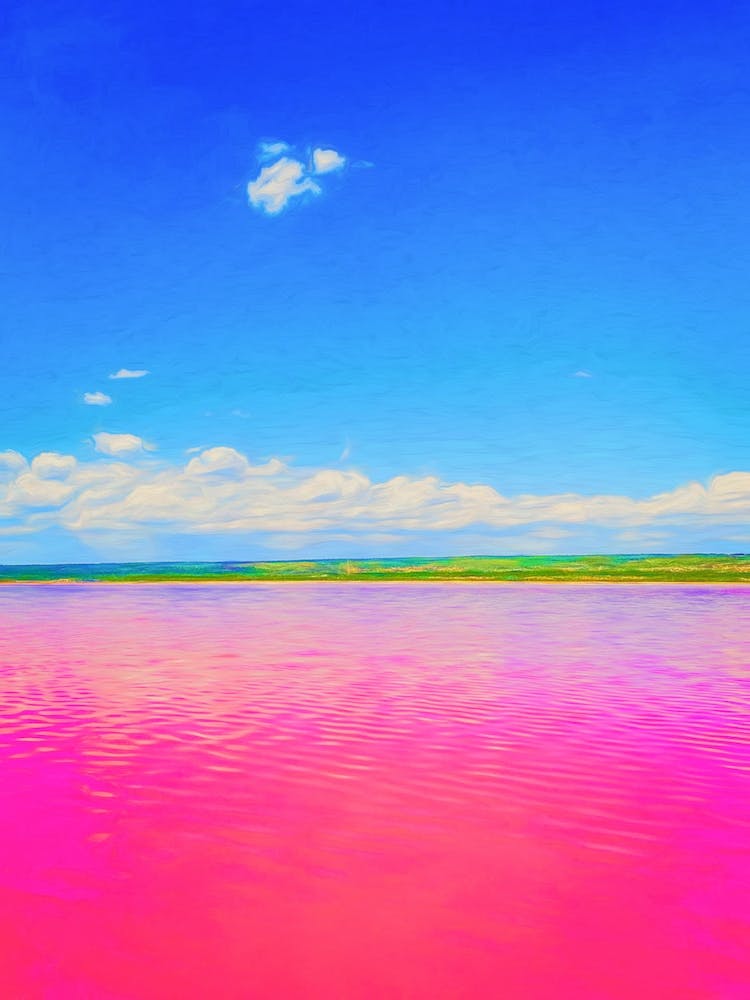 The Pink Lake