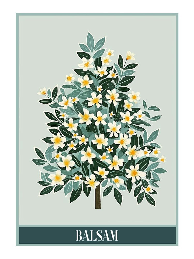Balsam Tree Flat Illustration 2 Poster