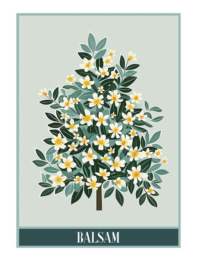 Balsam Tree Flat Illustration 2 Poster