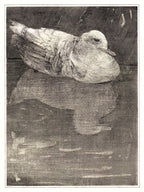 Floating Duck (1878–1909), Theo Van Hoytema