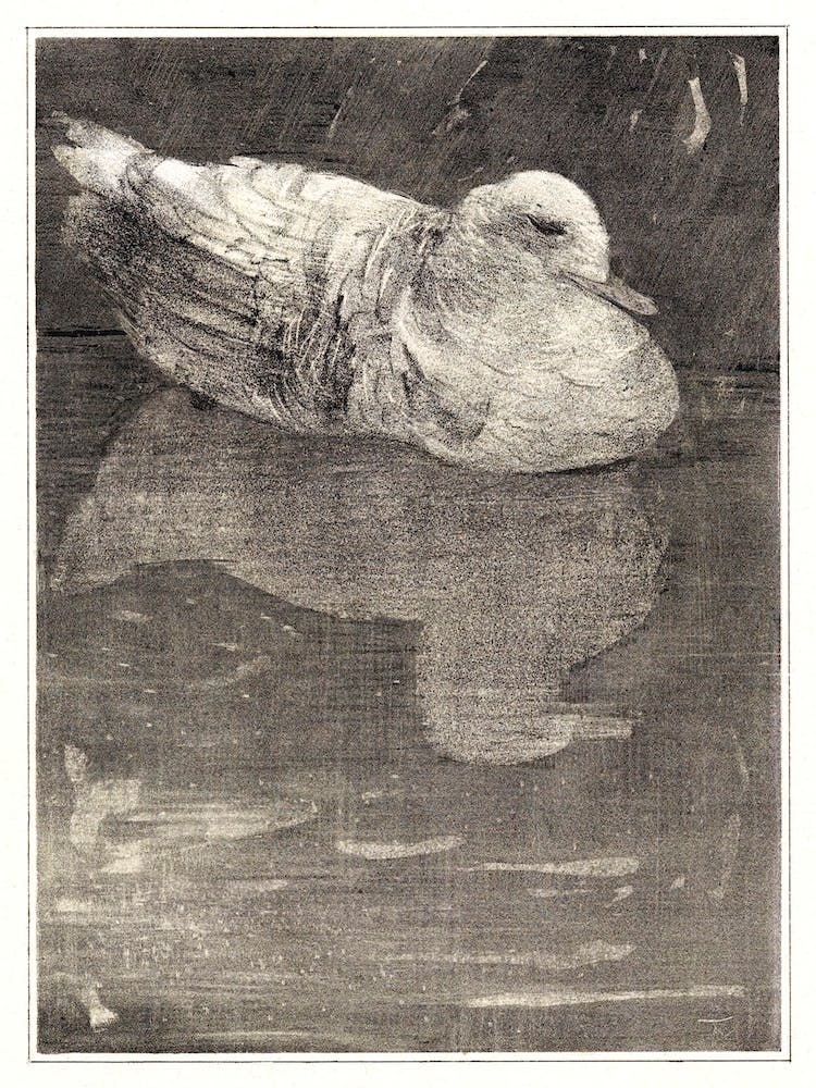 Floating Duck (1878–1909), Theo Van Hoytema