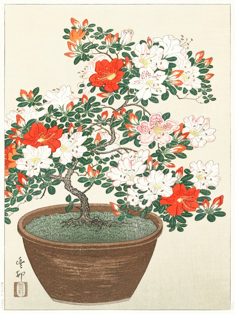 Blooming Azalea In Brown Pot (1920 1930), Ohara Koson