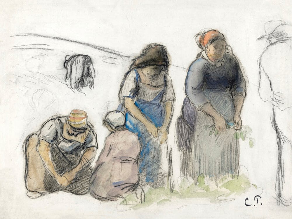 Pea Harvesters (ca. 1880), Camille Pissarro