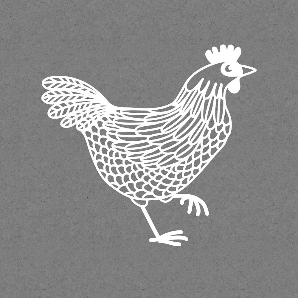 White Chicken or Hen on Gray