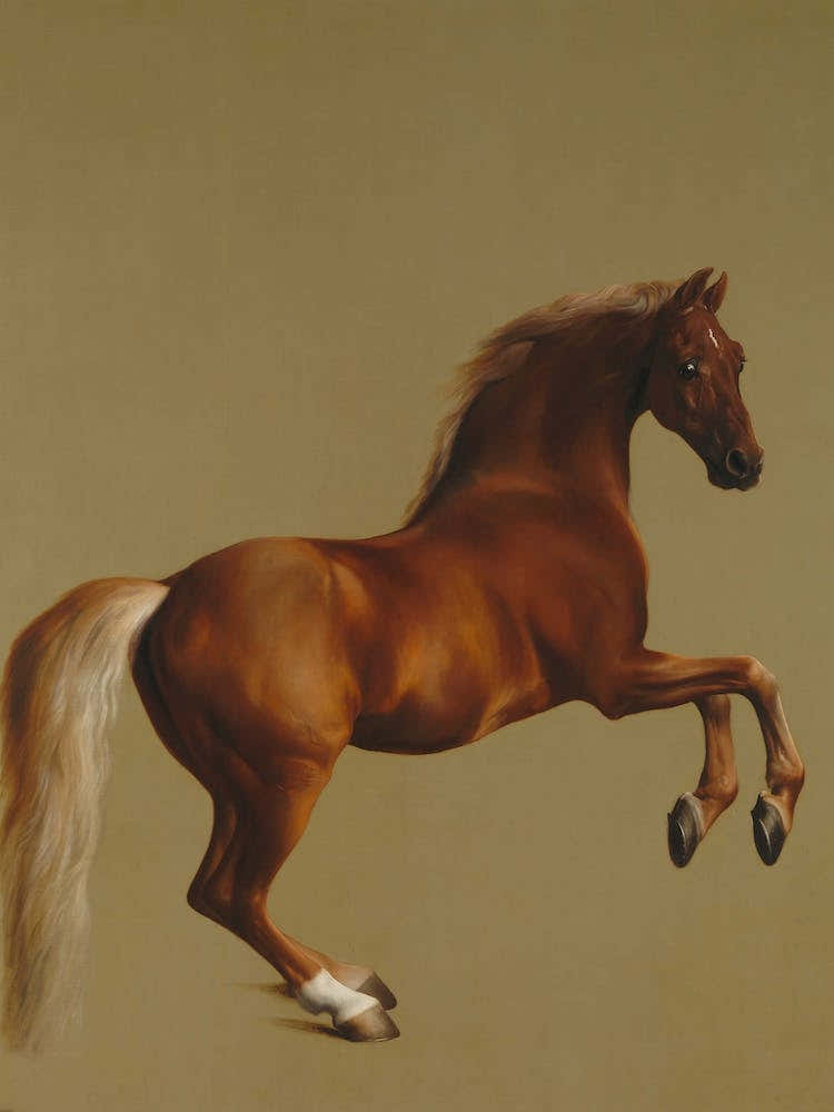 Whistlejacket, George Stubbs