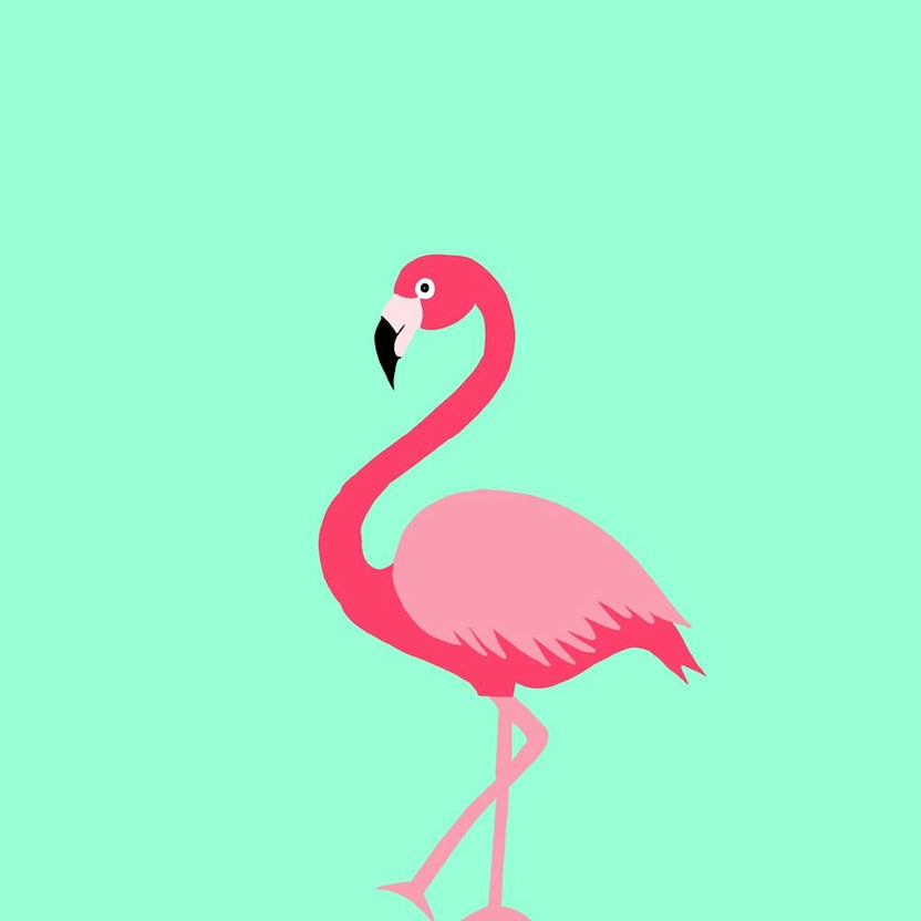 Pink Flamingo On Sky Blue