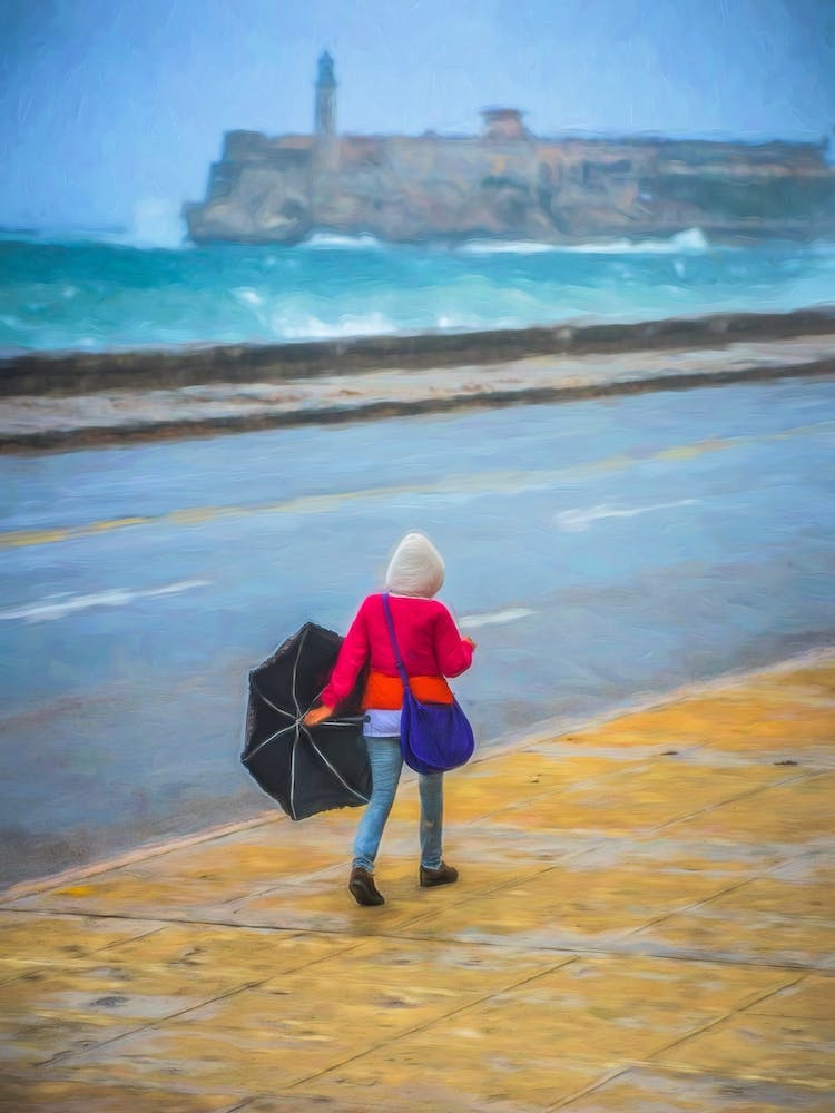 Windswept Walk Havana