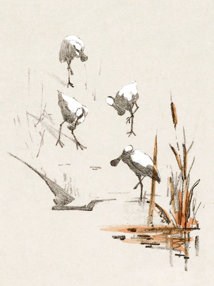 Greeting Card With Four Spoonbills, Theo Van Hoytema