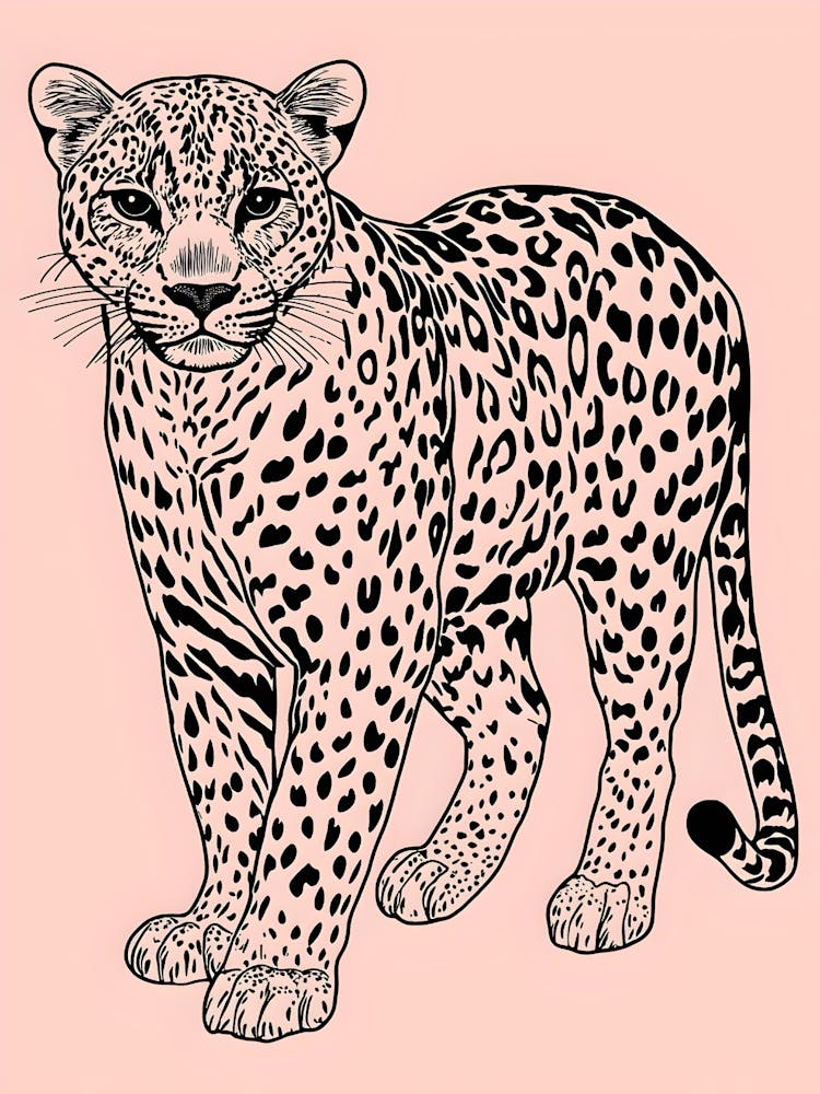 Leopard 1
