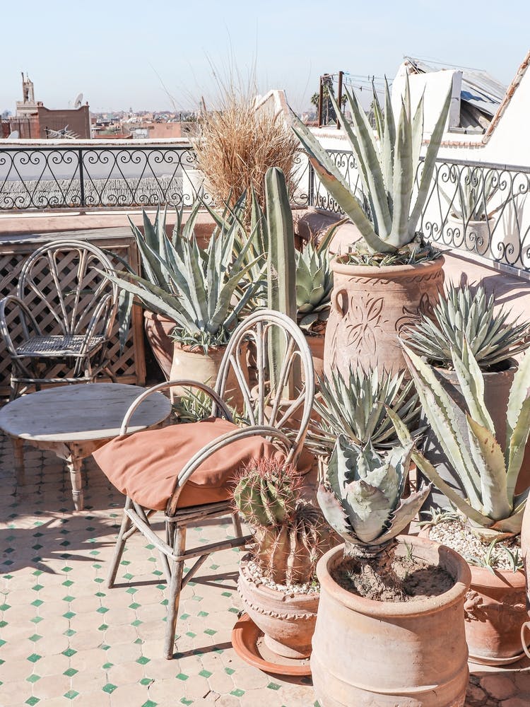 Rooftop Terrace Marrakech