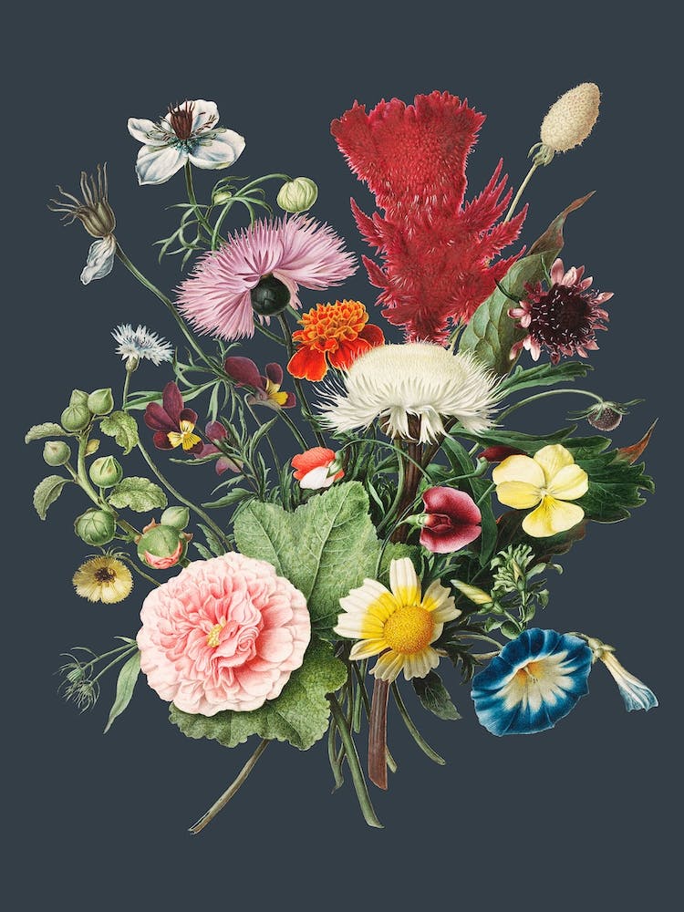 Vintage Floral Flowers Bouquet Illustration Grey