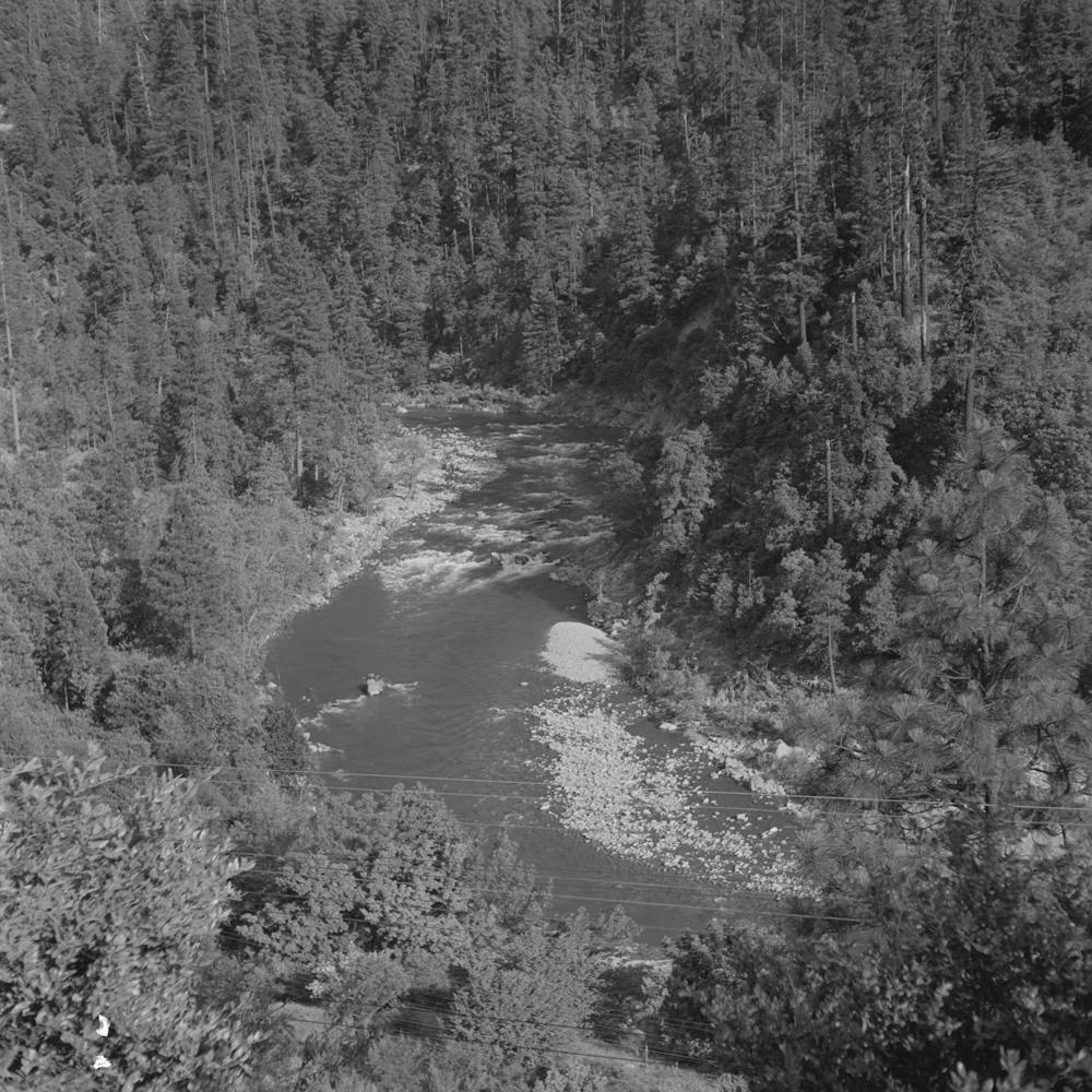 Shasta County, California, Mountain Stream By Russell Lee