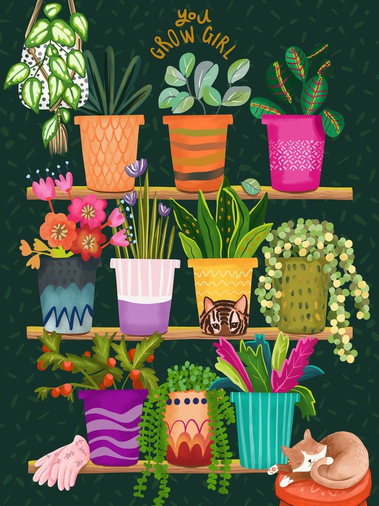 Plant Pots On Shelf Plant Lover Botanical Illustration
