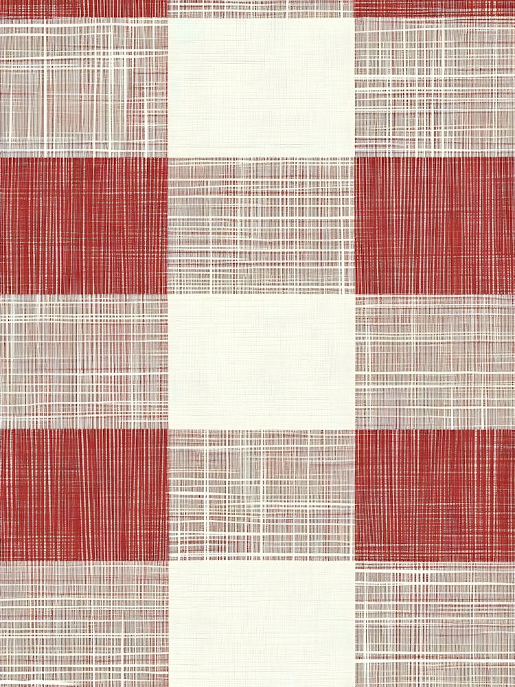 Red Gingham 2