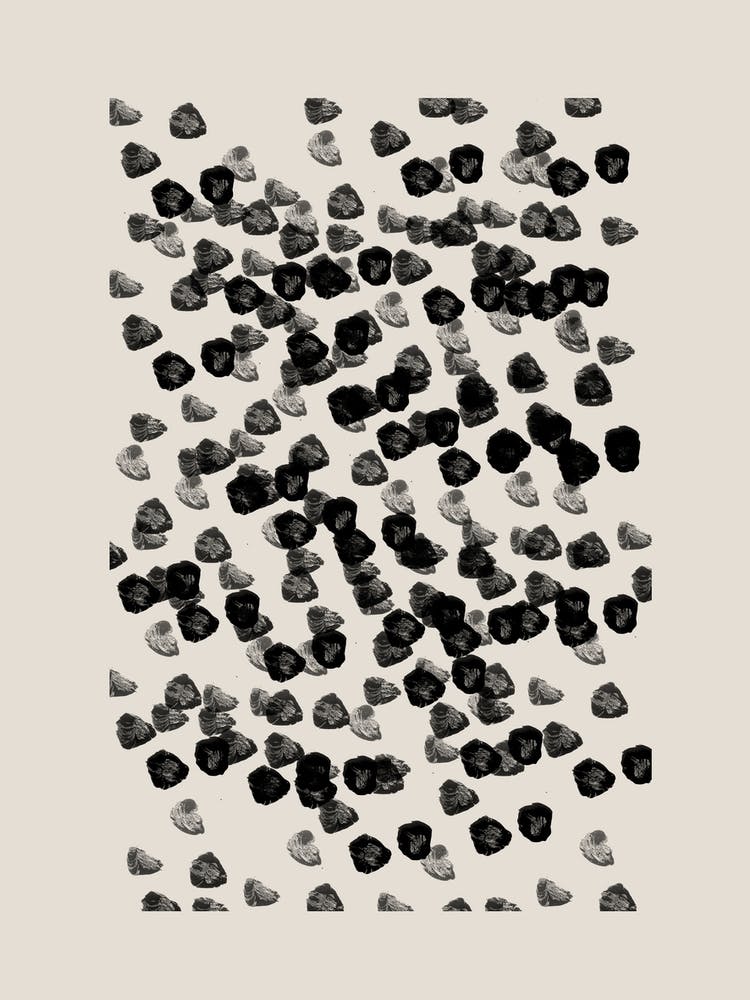 Points Noirs
