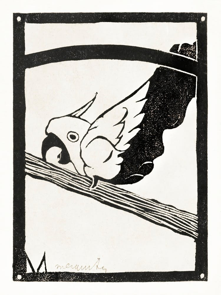 Daddy, Screaming Cockatoo (ca. 1900–1922), Samuel Jessurun