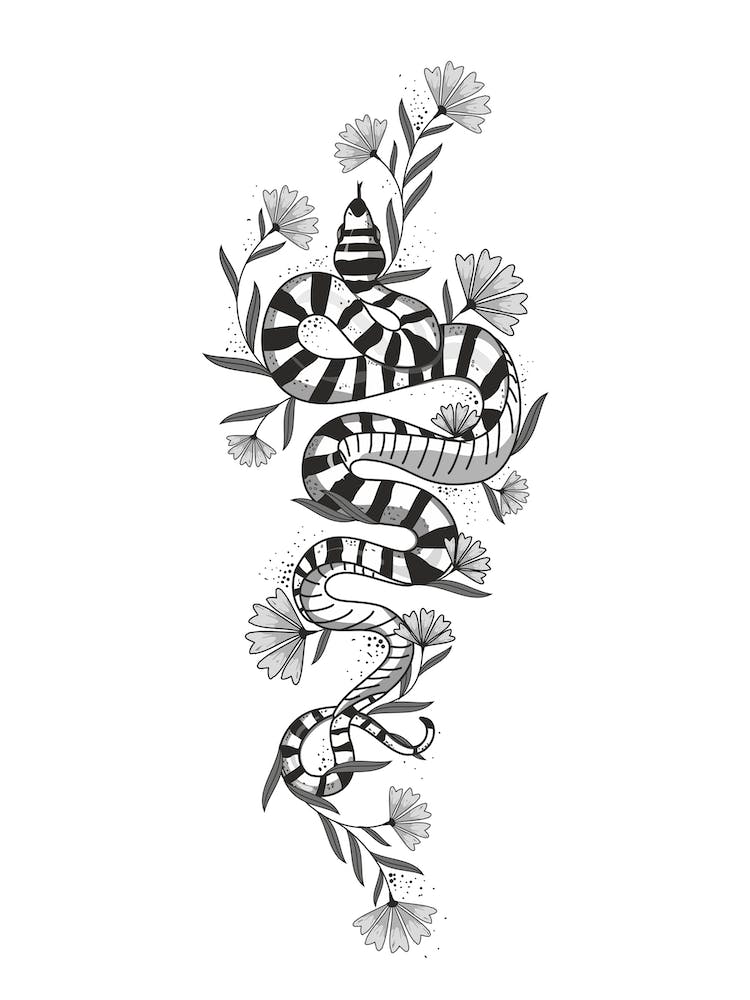 Black And White Snake