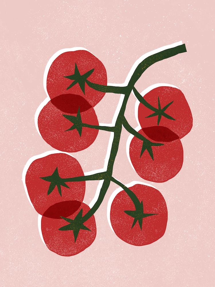 Tomatoes On A Branch 1