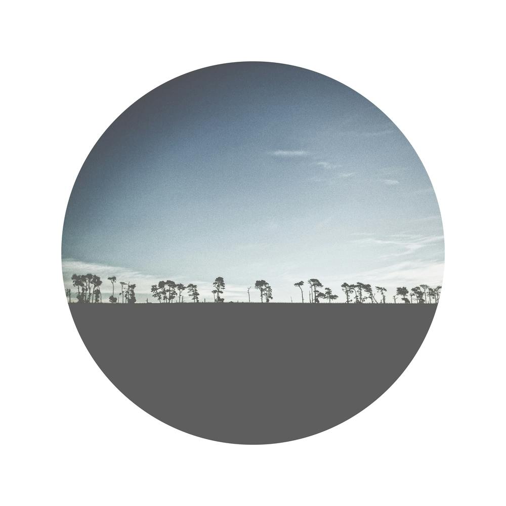 Silhouette Trees Landscape Square