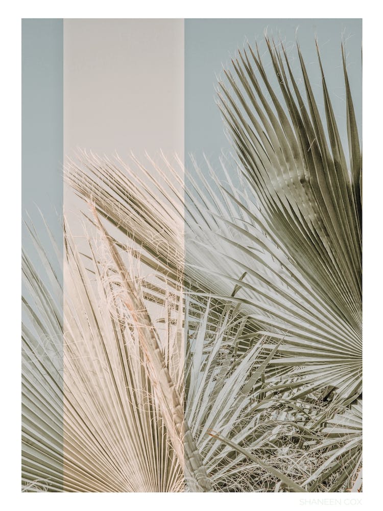 Phosphenes 3