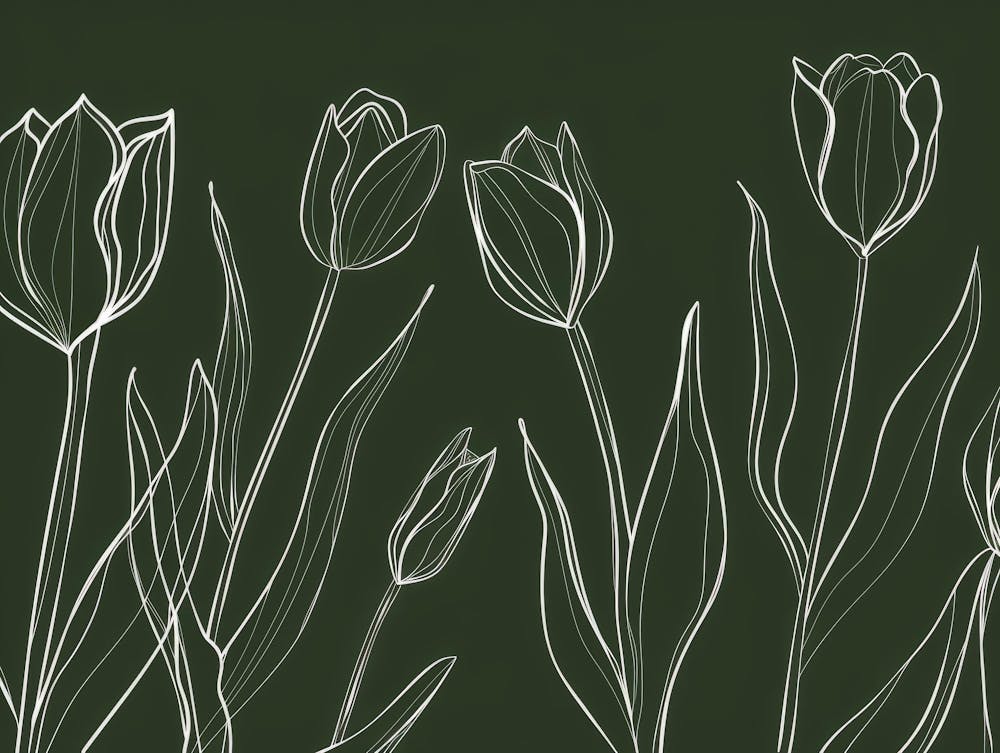 Tulips 16