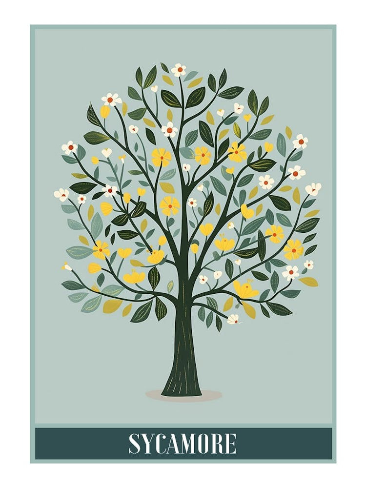 Sycamore Tree Flat Illustration 3 Poster