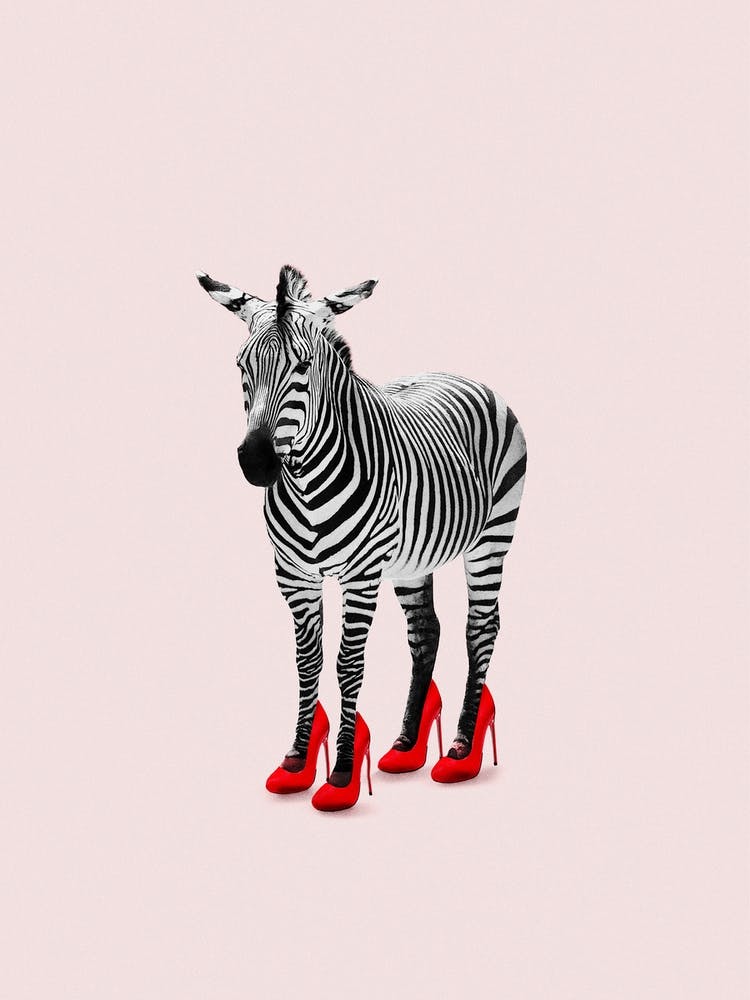Zebra Heels