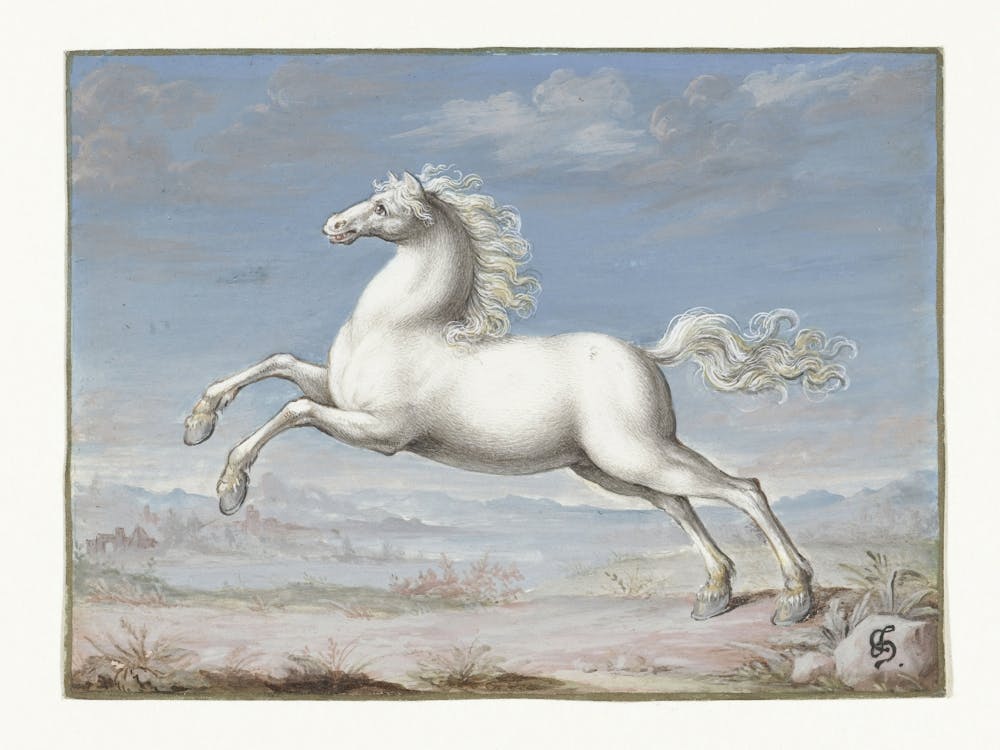 Wit Paard (1552 1601), Joris Hoefnagel
