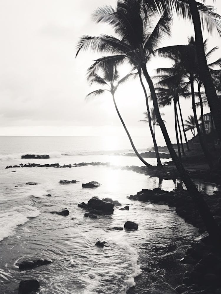 Hawaii Black And White Analogue Photograph 3