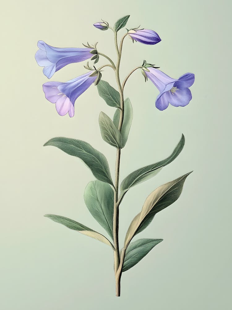 Wildflower Bluebells