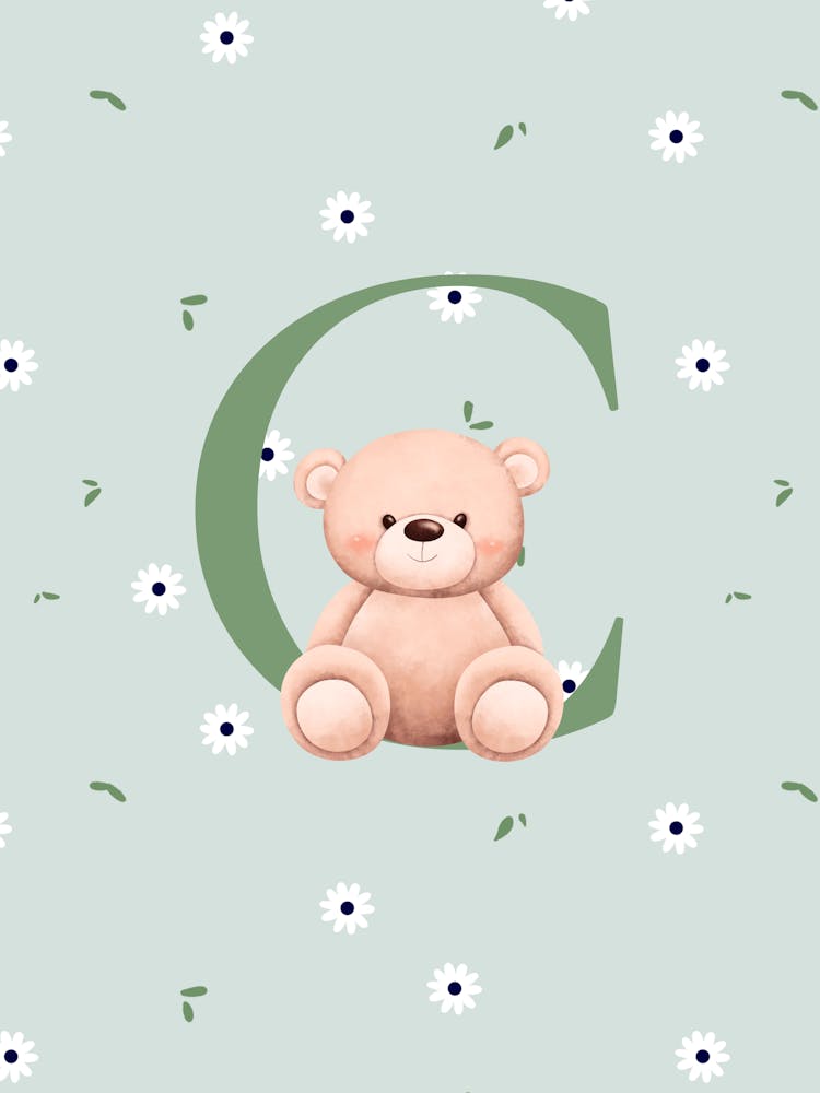 Teddy Bear baby room