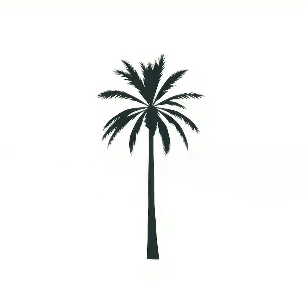 Palm Tree