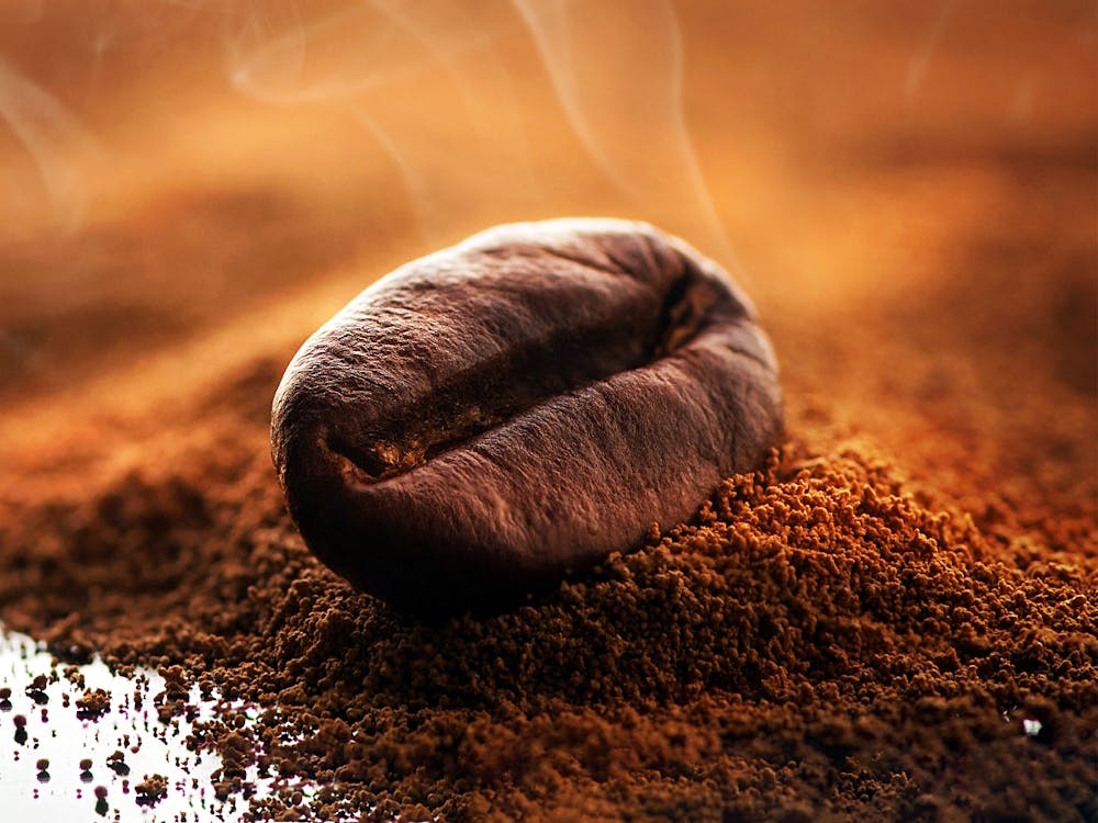 Coffee Bean — coffee poster, kitchen art print, kitchen wall decor, coffee quote, motivational poster