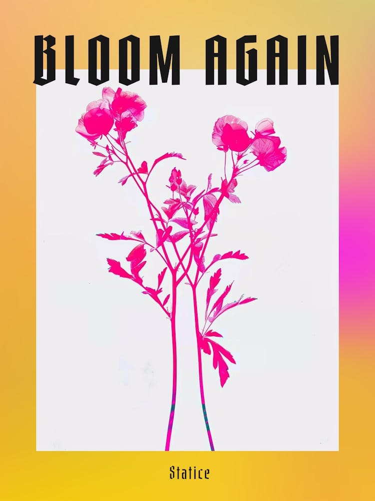 Hot Pink Statice 2 Poster