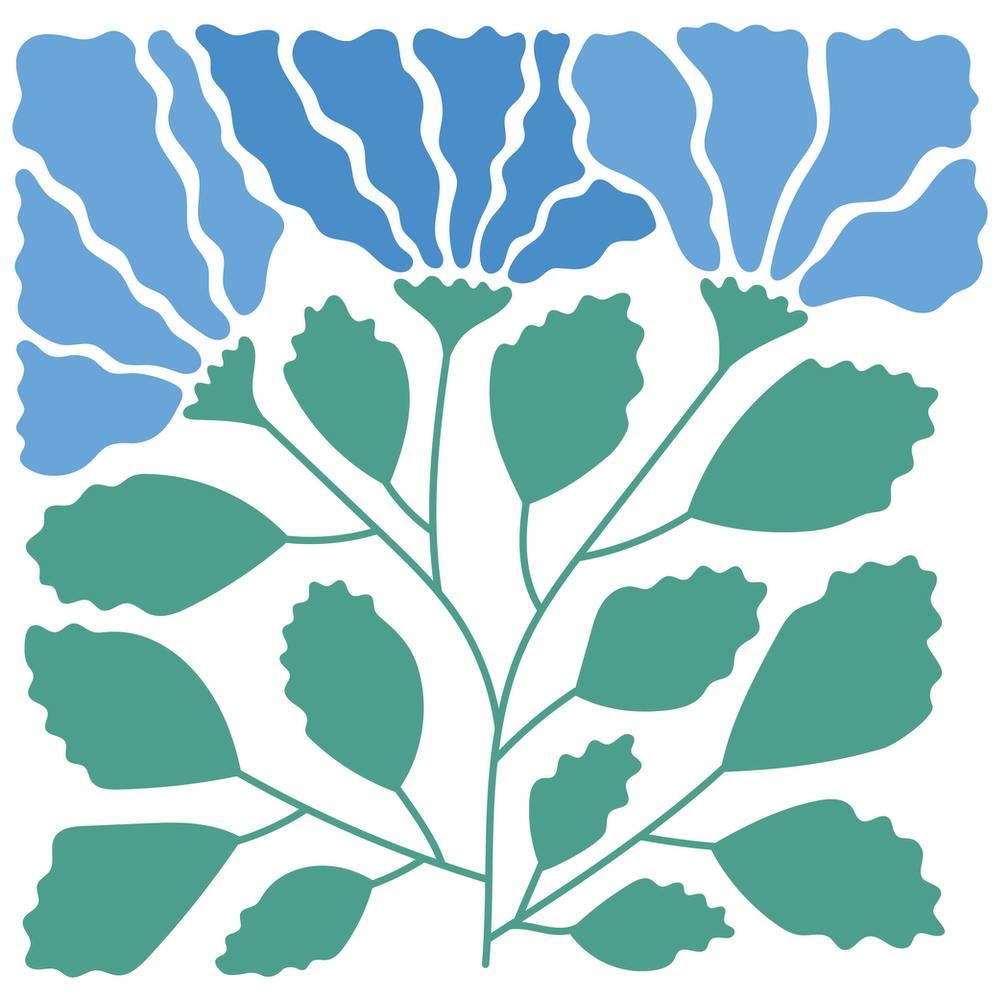 Blue Flowers
