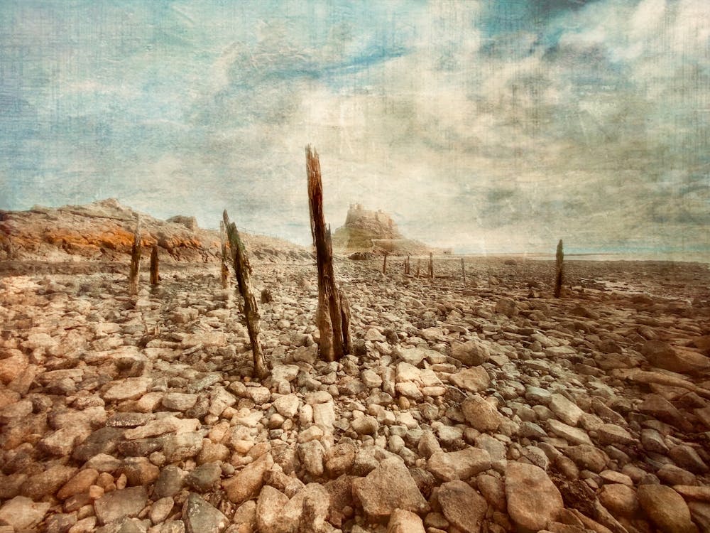 Holy Island Of Northumberland