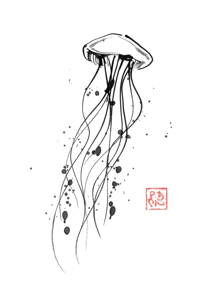 Meduse