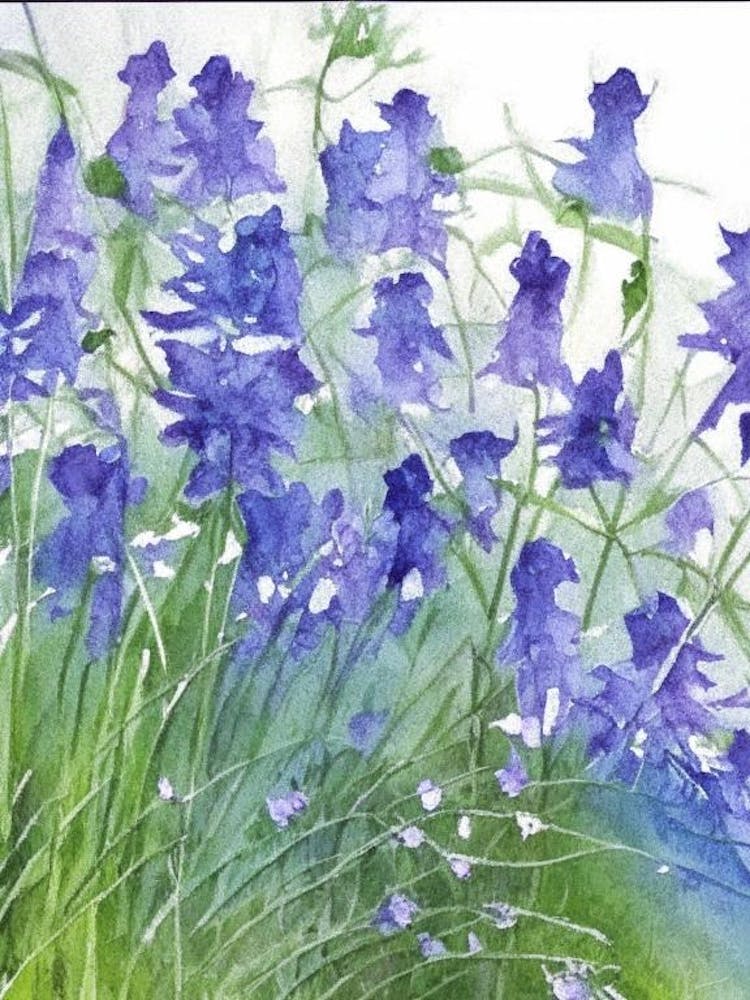 Mountain Bluebells Wildflower Watercolour 2