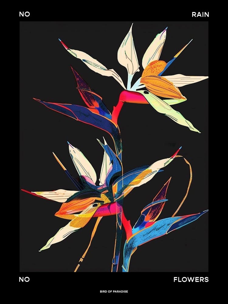 No Rain No Flowers Poster Bird Of Paradise 3
